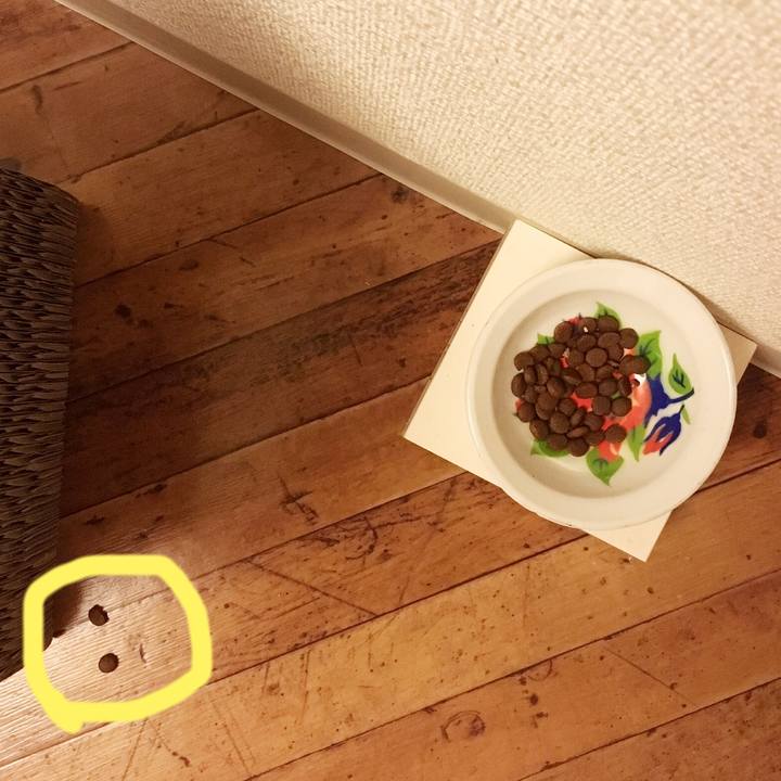 7f3edd5d 1a35 4915 ab87 7ff76b217095 1535529014291