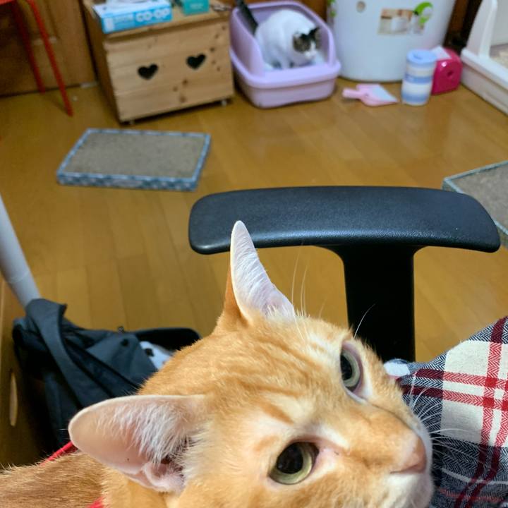 7f3f0265 e97a 4c16 902e 4ad312705b76 1576973560957