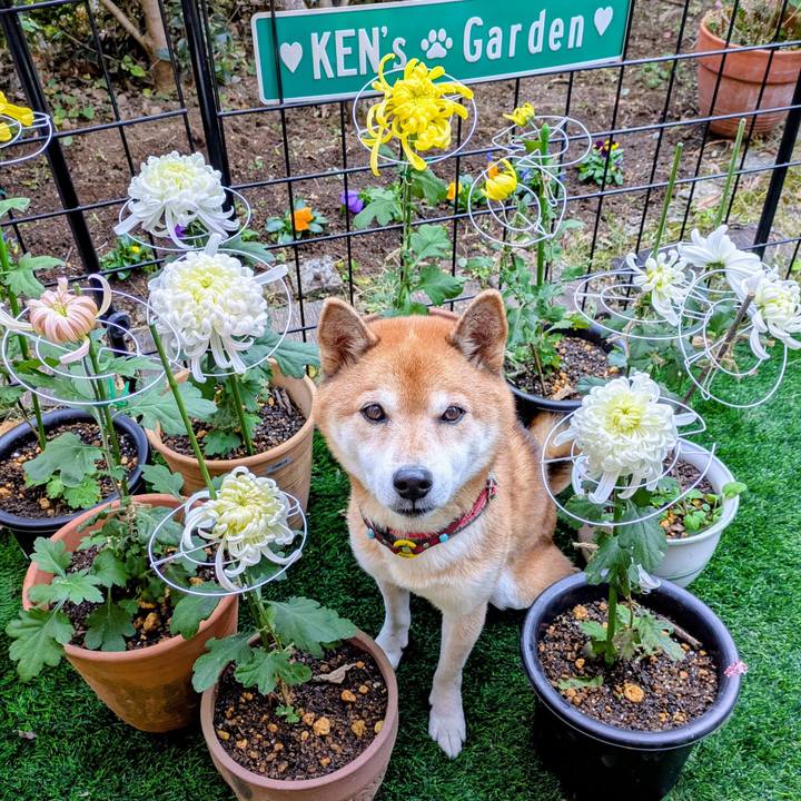 7f3f0b14 4082 4a17 9665 6a00d92dc79d 1763795208554