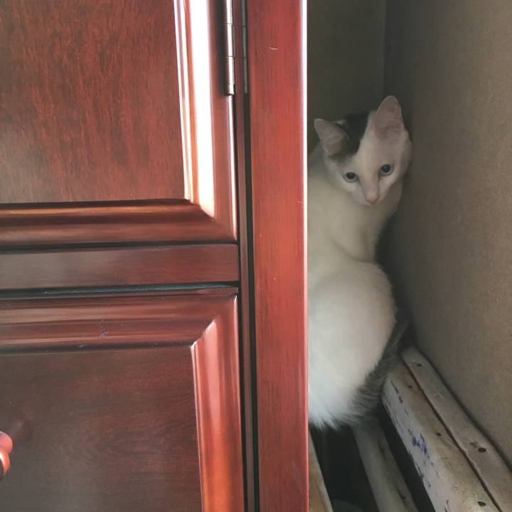 7f3f2622 8260 4d57 8203 ed2477af2b7a 1511827370785