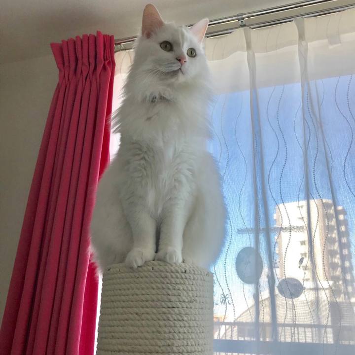 7f3f3dbf 7396 432e b8bc 0e3c5e09afc0 1554071312709