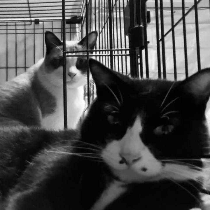 7f3f4287 8a3f 4173 96d7 b4543055f639 1729329758689