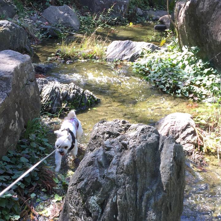 7f3f7087 dde7 4e9e b725 3593243c723c 1538896527714