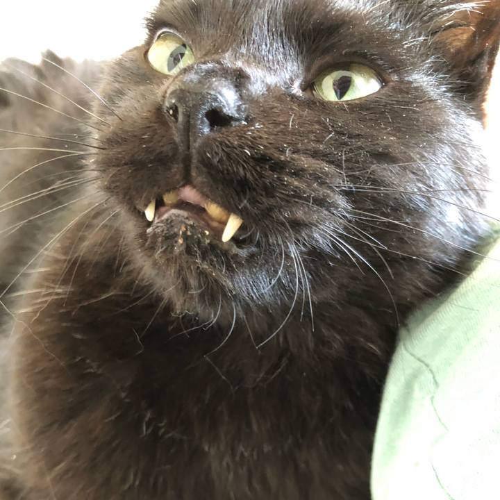 7f3f8259 3ab0 4db5 ad42 f583ef81c860 1626920311465