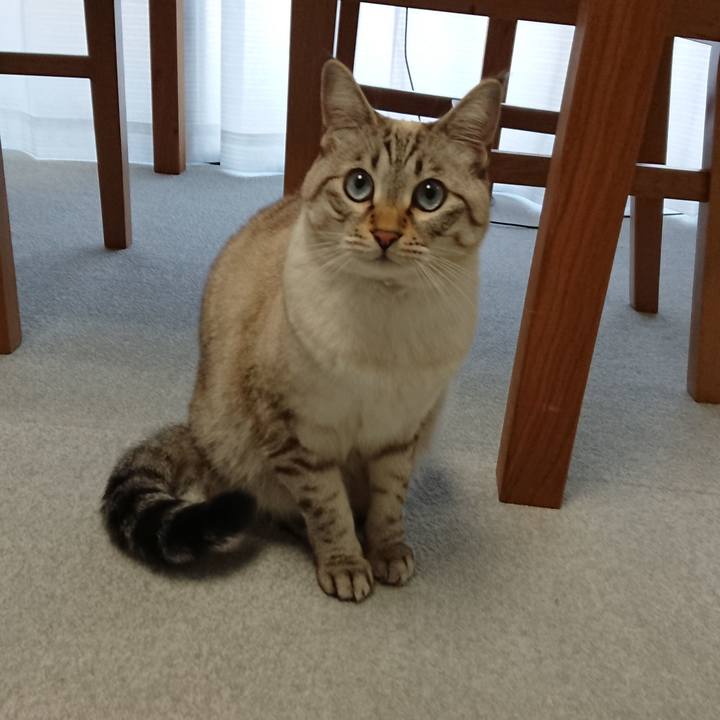 7f3f9b8a e3aa 4334 b55c b607d89e87cf 1512685250581