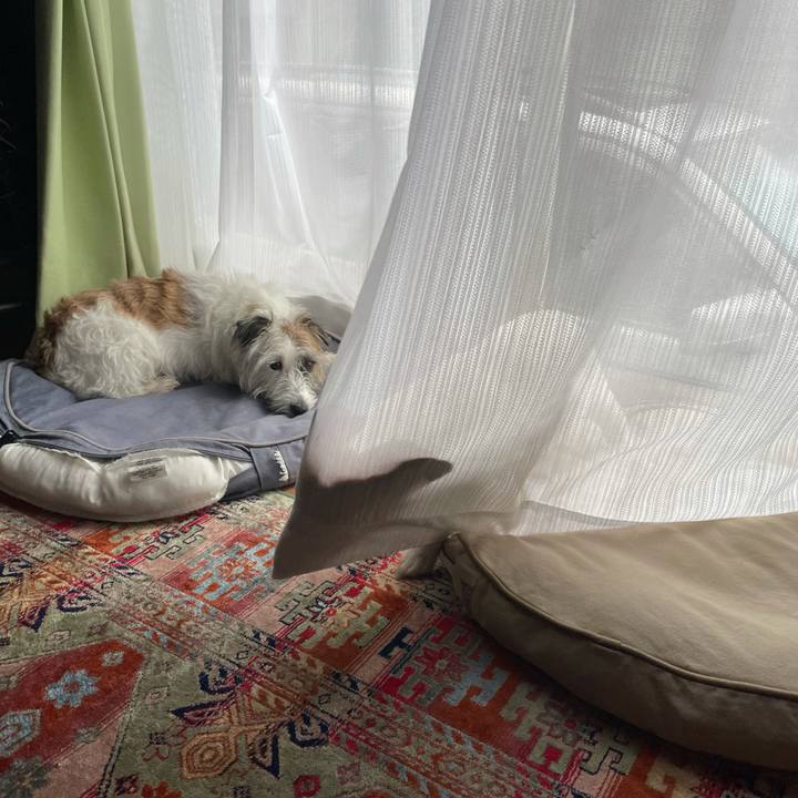 7f3fa26e be10 4809 aa9a 0ba4d07761ef 1633994061216