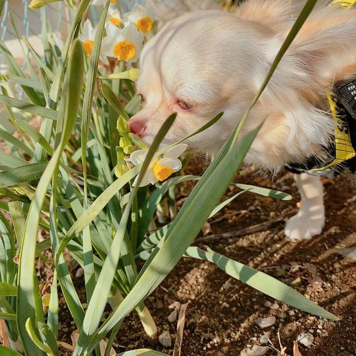 7f3fc734 bfc7 4214 9a67 581c9dfd5cb6 1612258645687