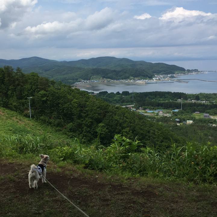 7f3fd480 6700 4376 8e13 e70cb9a267d7 1530333228629