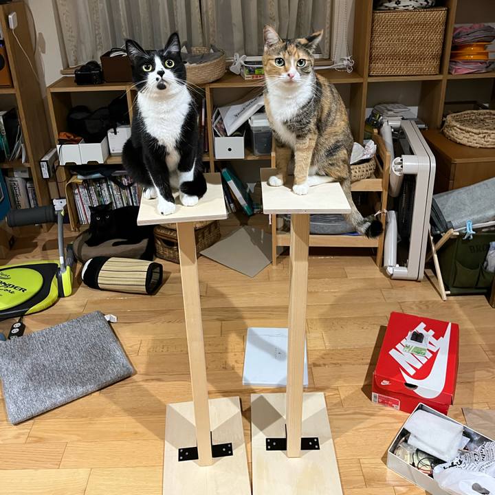 7f400b33 187e 40ec 95c4 8b564d8bc3c3 1664856602773