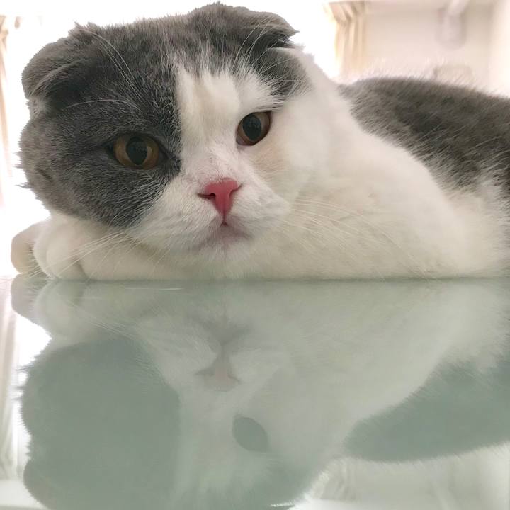 7f40189a 0d12 4540 ba96 8a757d5ad447 1531012470395