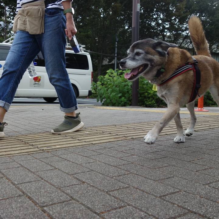 7f402166 a2ae 4851 9f60 bf8876bc68a9 1648775471370