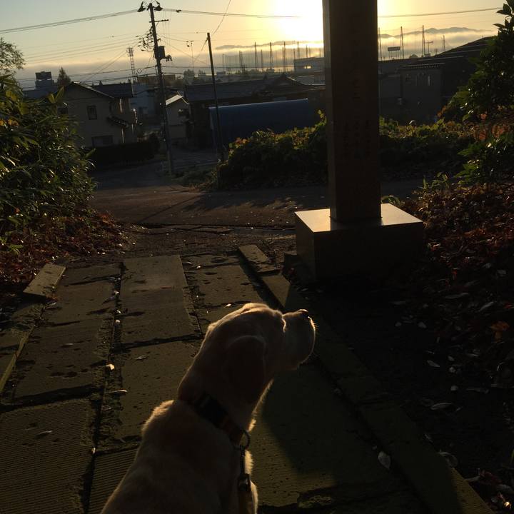 7f4045b4 c5b7 457b ad38 4d7927d6a512 1573455889041