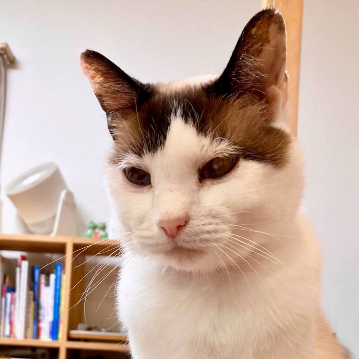 7f405db9 3107 456b b6fa bcc5c5a30069 1651225119725