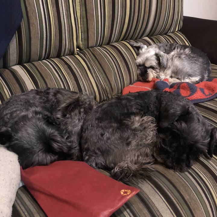 7f409242 3a47 46ae ba1f 8d94fd9c7eac 1516803124529