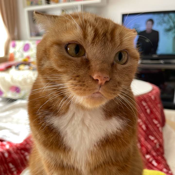 7f40a375 bf9d 4087 aca1 1c98c9f6371b 1636855663447