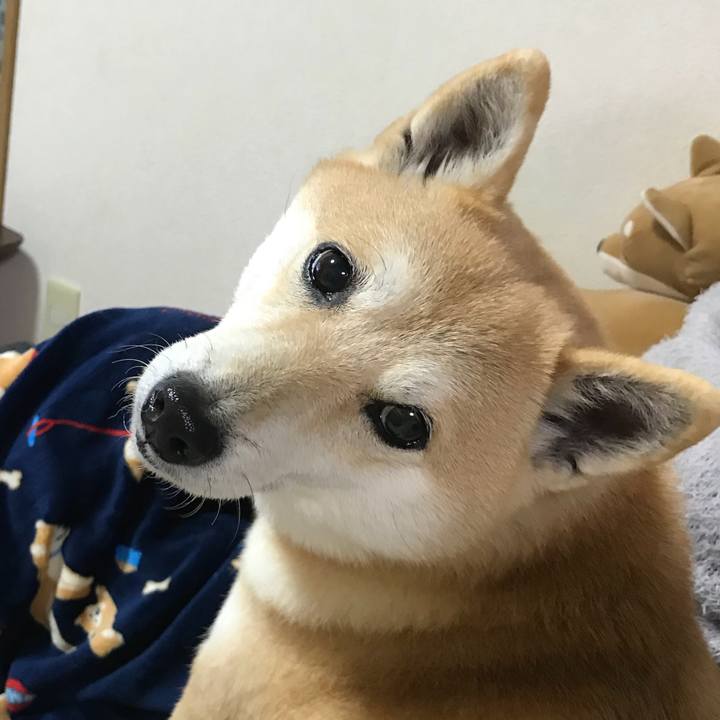 7f40df28 6594 4faf 9110 3dc6acbd8854 1518485835972