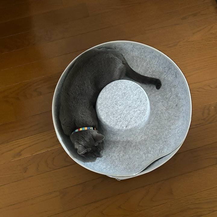 7f412d33 d3c5 4d6f ab7a b94b18f45339 1732787886330