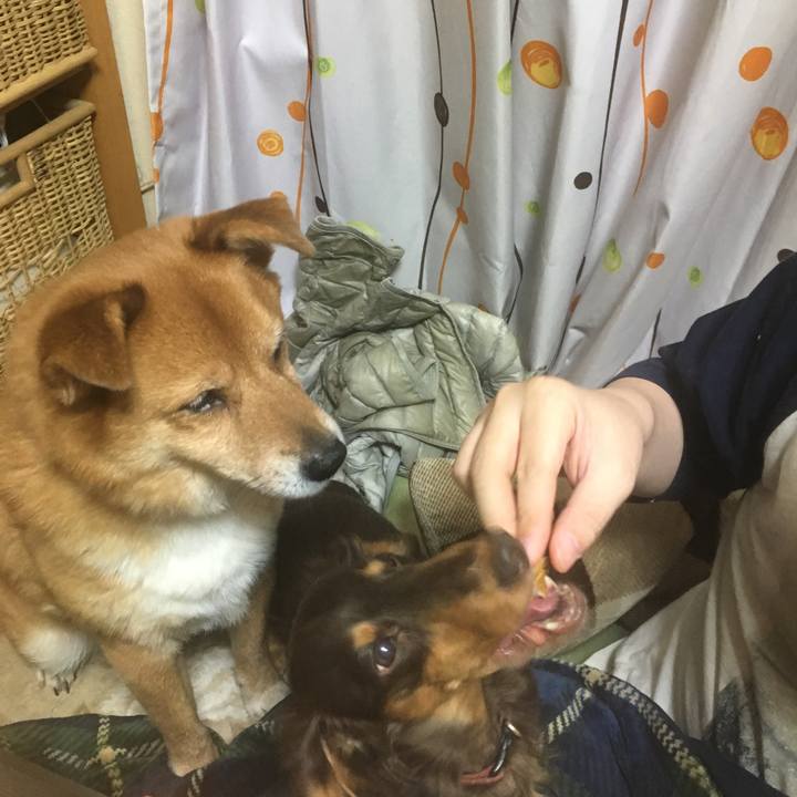 7f414682 1a88 4004 82d2 6867e779858c 1523193672064