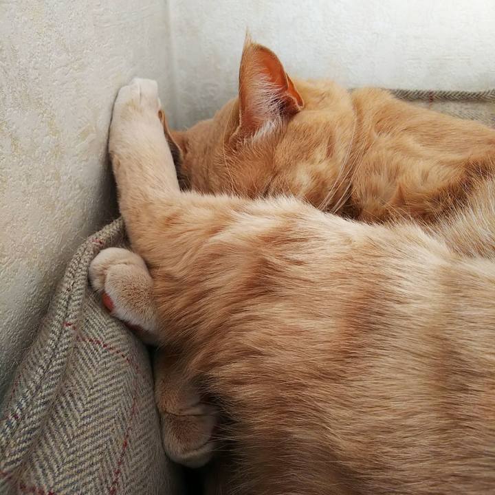 7f4165b7 ad89 4715 92b6 ba3a97798976 1613104006901