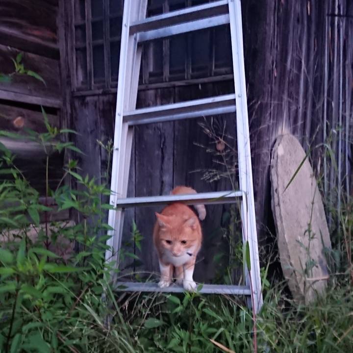 7f417d0e a406 4247 861c 34002afe35c3 1600287326333