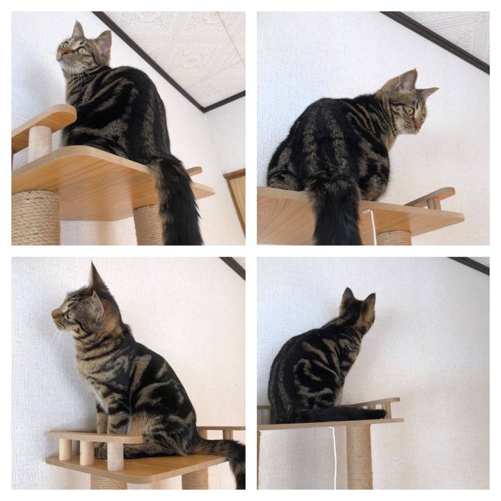 7f419c30 3913 4a26 9e21 46dcd27c6ffa 1743199182289