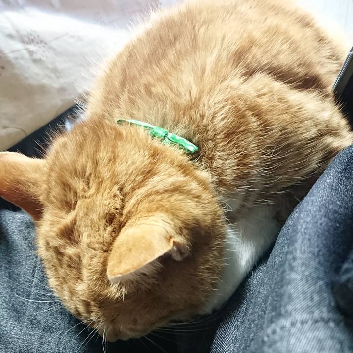 7f41f326 b902 4fcd 9696 07a64a8c16e5 1580534569510