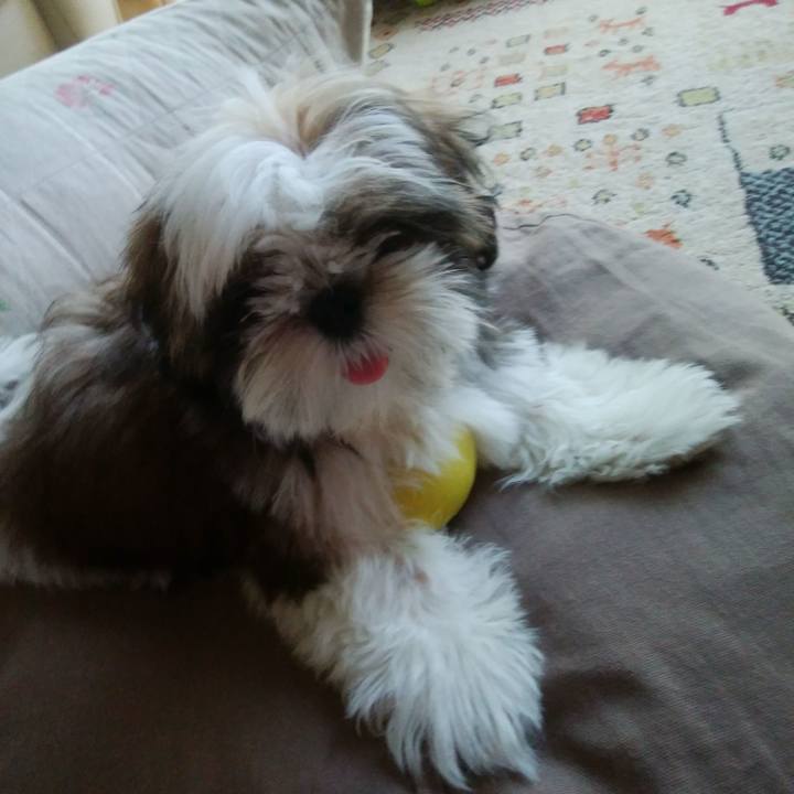 7f4223b0 414d 4171 b028 037820f66951 1534925915068