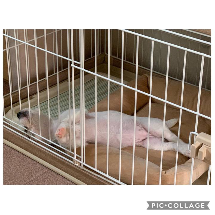 7f426e6e 7e8a 4cad 8ec5 4a7f6d7aa497 1560928743205