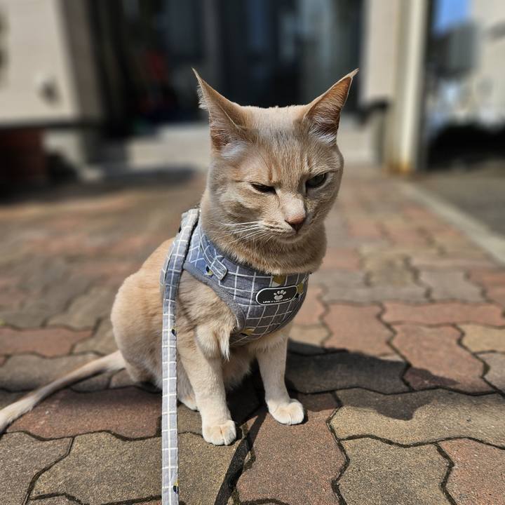 7f427187 b0c9 4525 ad43 b053c74e08fa 1743824106411