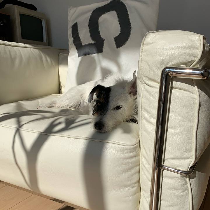 7f42c4b8 dfa9 4d88 9e80 98d537b6a3b4 1668224571648