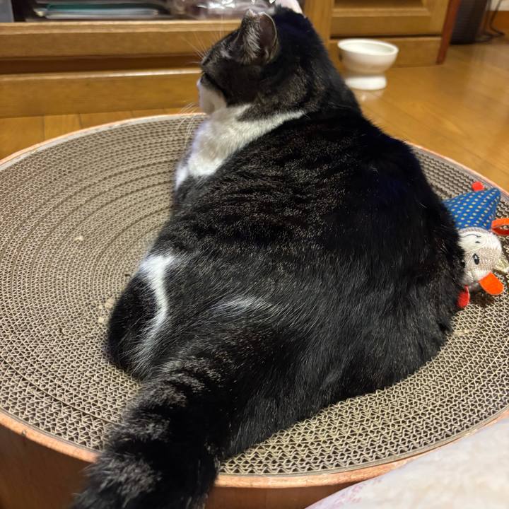 7f4311d5 7dd8 457c 97cb 79ece8a0d0b7 1763123029441