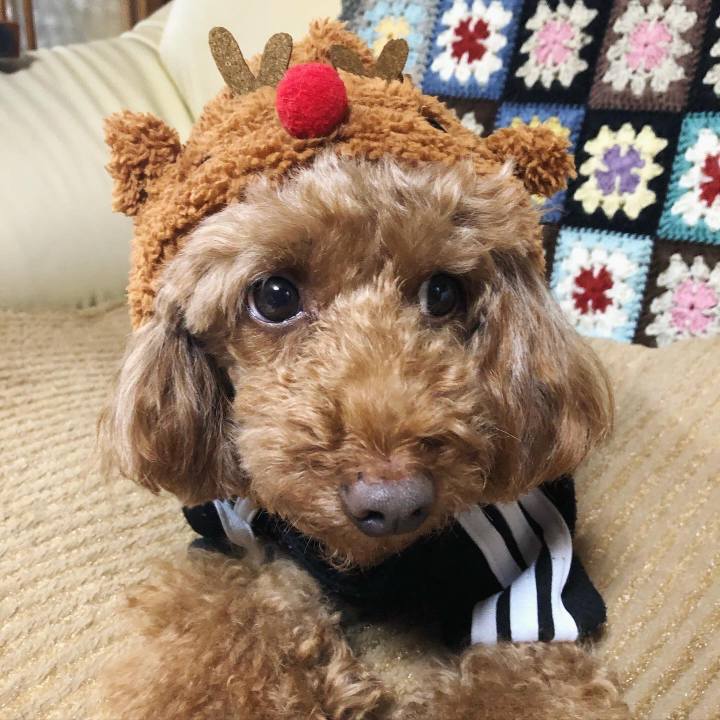 7f432230 0e5e 4677 8716 da2074221c18 1574826853084