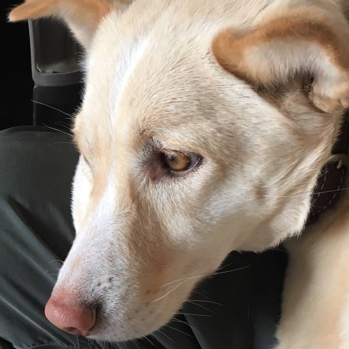 7f433aa2 e6ea 437f 8812 e103f2ee6926 1517914358625