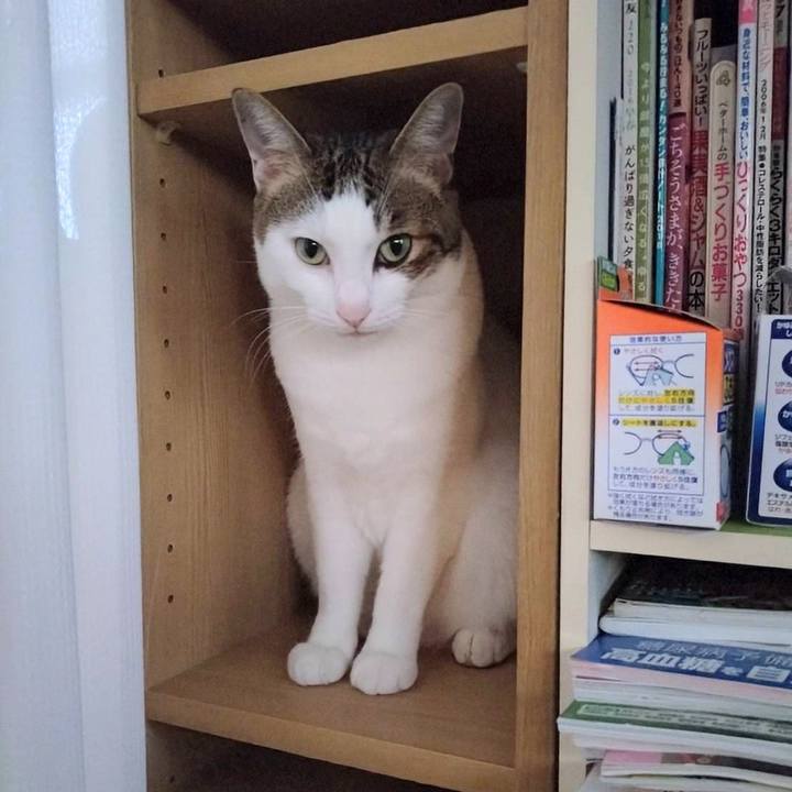 7f433cb2 1799 40b9 901d d4b55c5f2d39 1759459632981