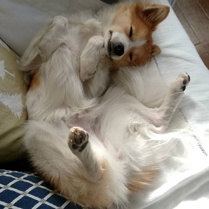 7f433e59 f036 477d a14b 6707eb3fef6e 1515244701570