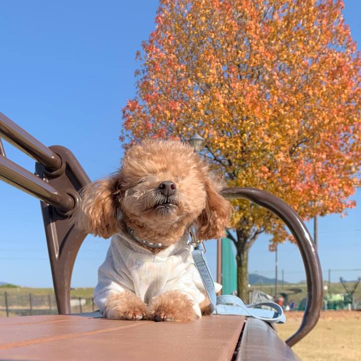 7f439f5a f9ae 4ddb b0d5 a90c3e1517db 1764505799482