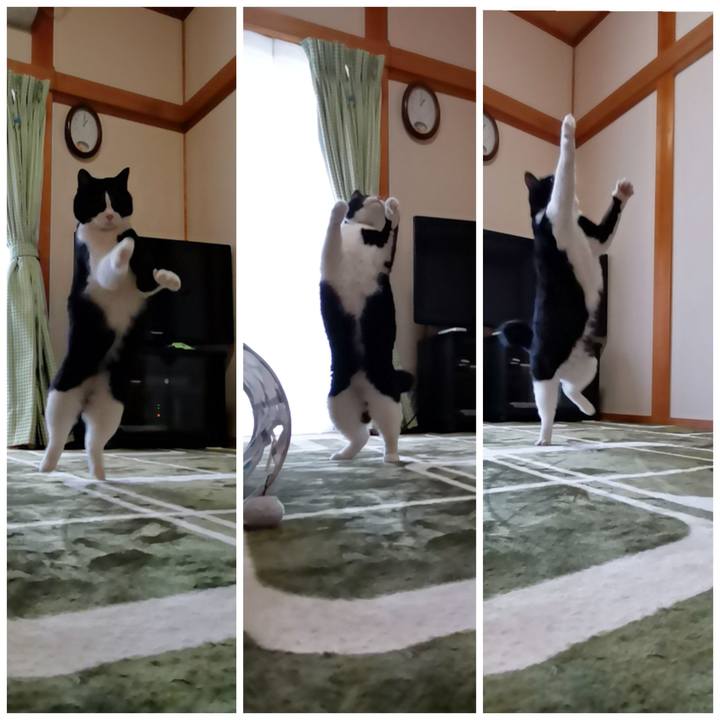 7f43a654 ae36 40f2 a416 2d248853f852 1614867099647