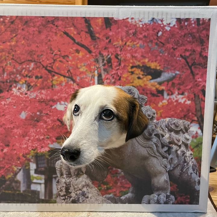 7f43b7df d01c 4d44 96e7 abbaee42151e 1761961645239