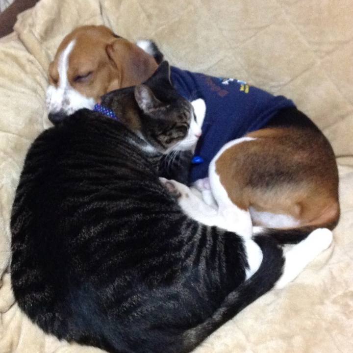 7f43da04 2ad2 4d5b 8cf6 68acdd7089e6 1519735847394