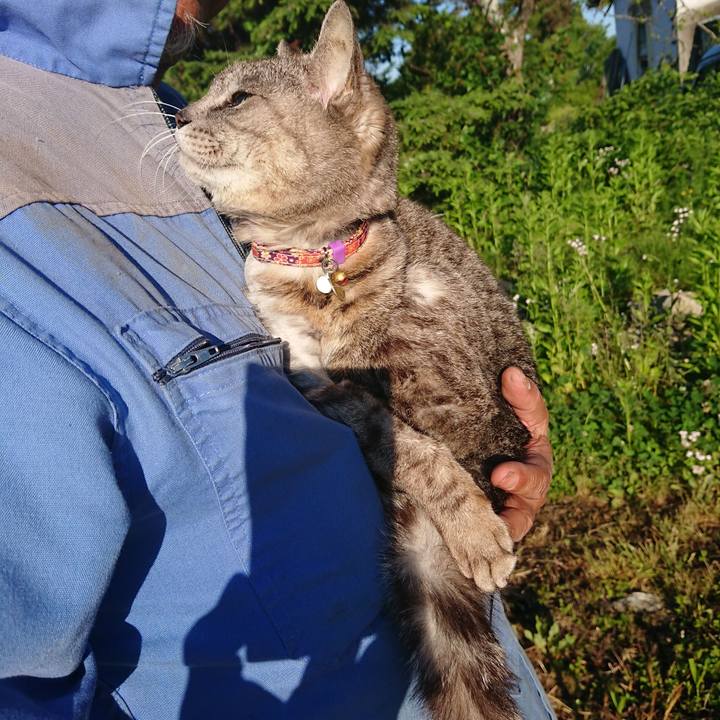 7f43ddff 40d5 49aa bfbd 5a0c48778534 1590789851574