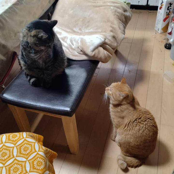 7f444320 a1b0 4c79 96d0 010cdd56a4a2 1703571539060