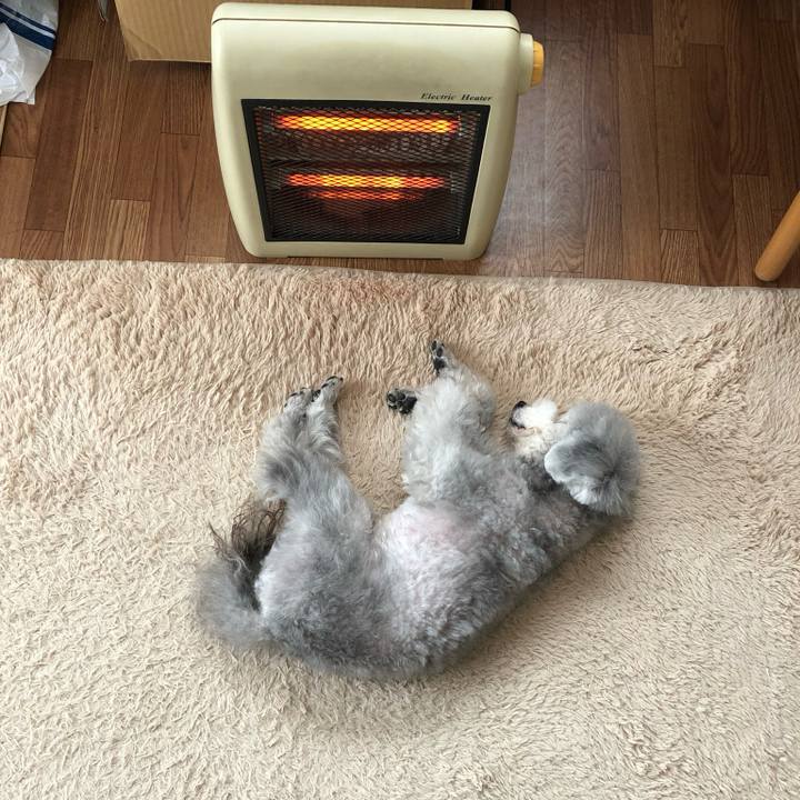 7f4480b3 5a84 41d1 b50e db488c91ebea 1710753858177