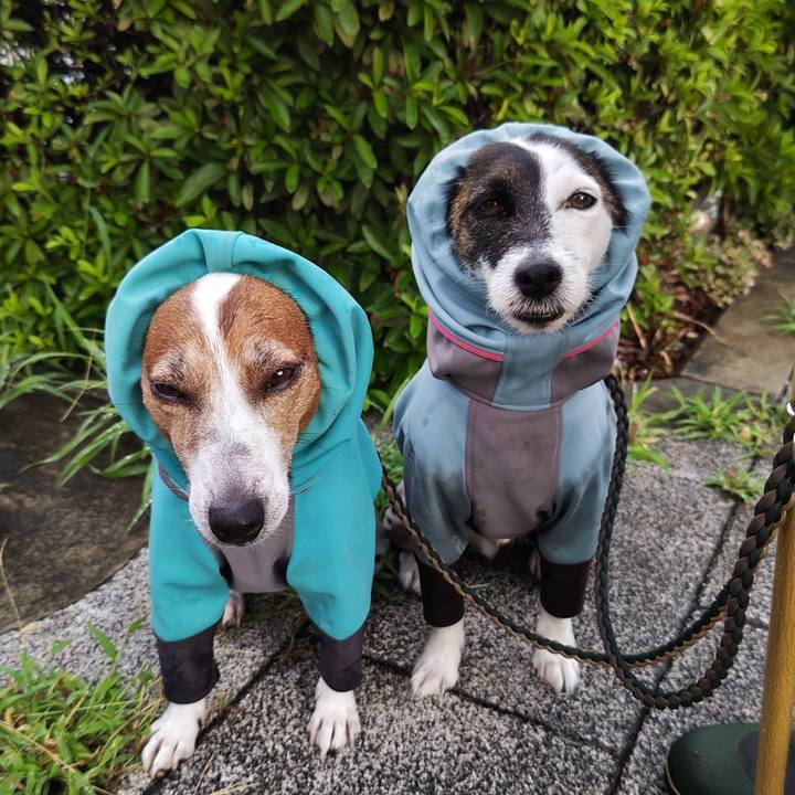 7f44ac66 a7c3 4a01 a548 35660315d72f 1752703941658