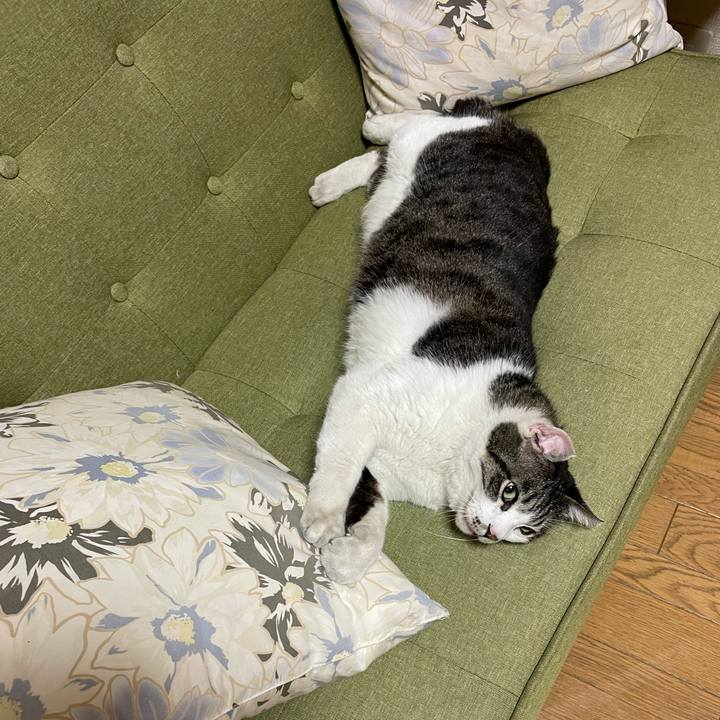 7f44b91c 0020 458f 86fc a950d1a87702 1685617140258