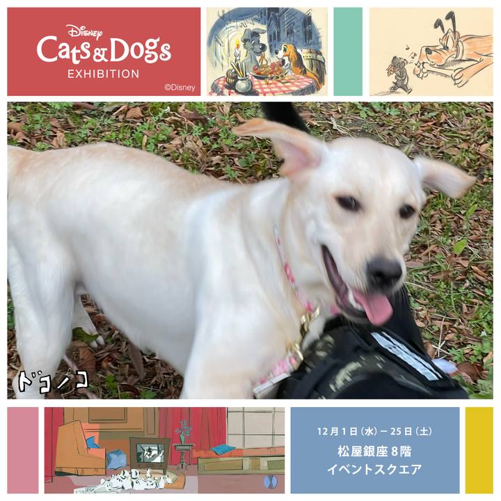 7f44c710 a621 4fe7 88f5 0d7717bdc9cb 1639722141621