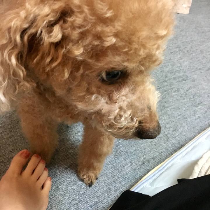 7f44c919 ae99 43a0 addb ee1cb5701562 1540124000498