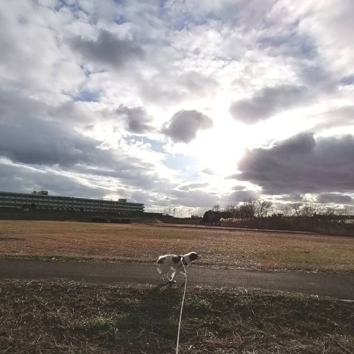 7f44d923 46d4 4fe2 942a 86f7ef008d70 1580459580947