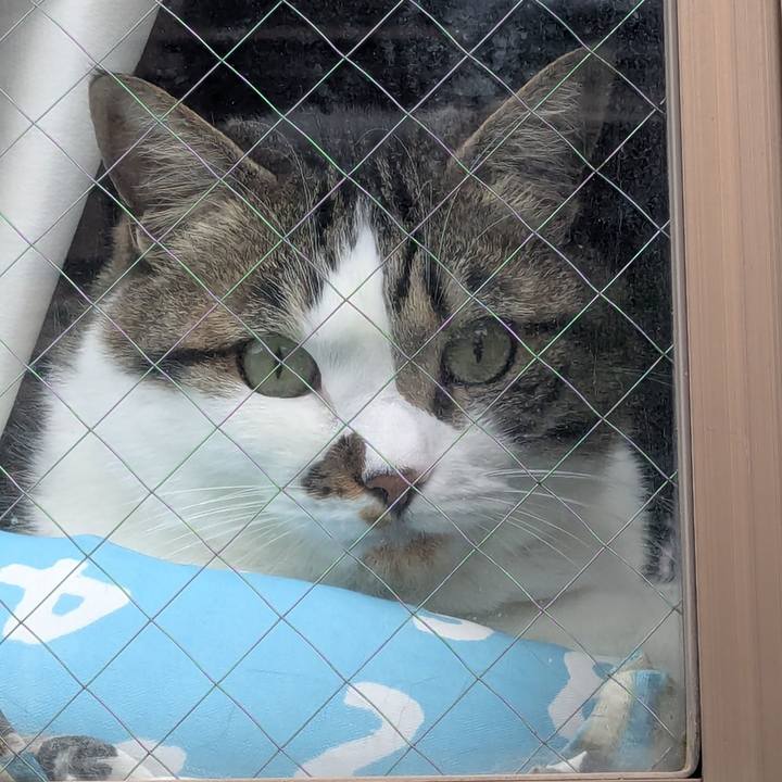 7f44dca6 c184 46ea b28a 8f32bfa4dfd4 1748297509972