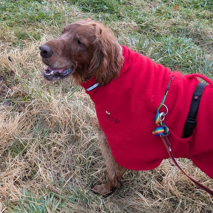 7f44e1cf cb67 409c 9066 0b362caf49e4 1767072376866