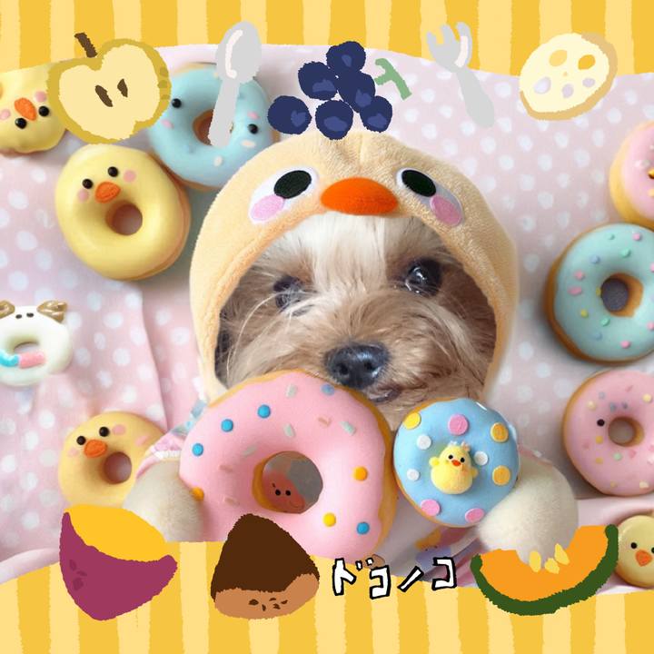 7f451c9e 6f02 40de a87f 0287b7fa6944 1727184351720